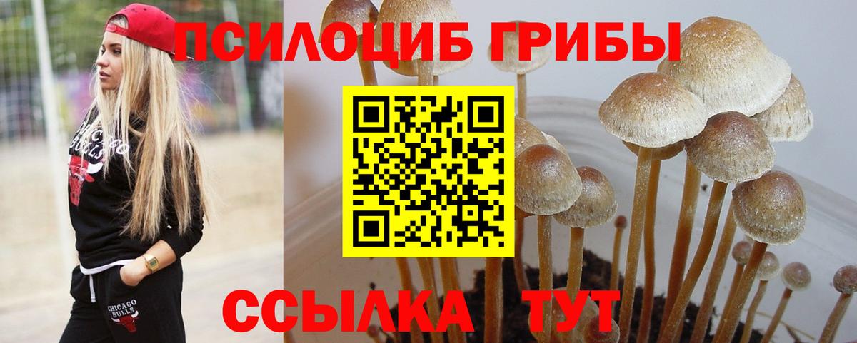 MDMA Алатырь