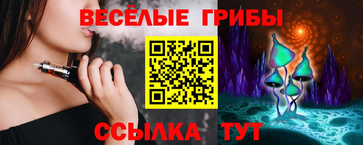 Галлюциногенные грибы MAGIC MUSHROOMS  Вход с VPN  Алатырь 